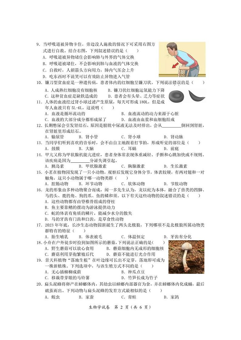 湖南省名校联盟2024-2025学年高一上学期开学考试生物试题02