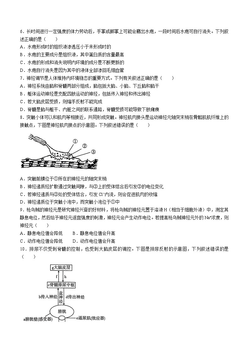 河南省创新发展联盟2024-2025学年高二上学期9月月考生物试卷(Word版附解析)02