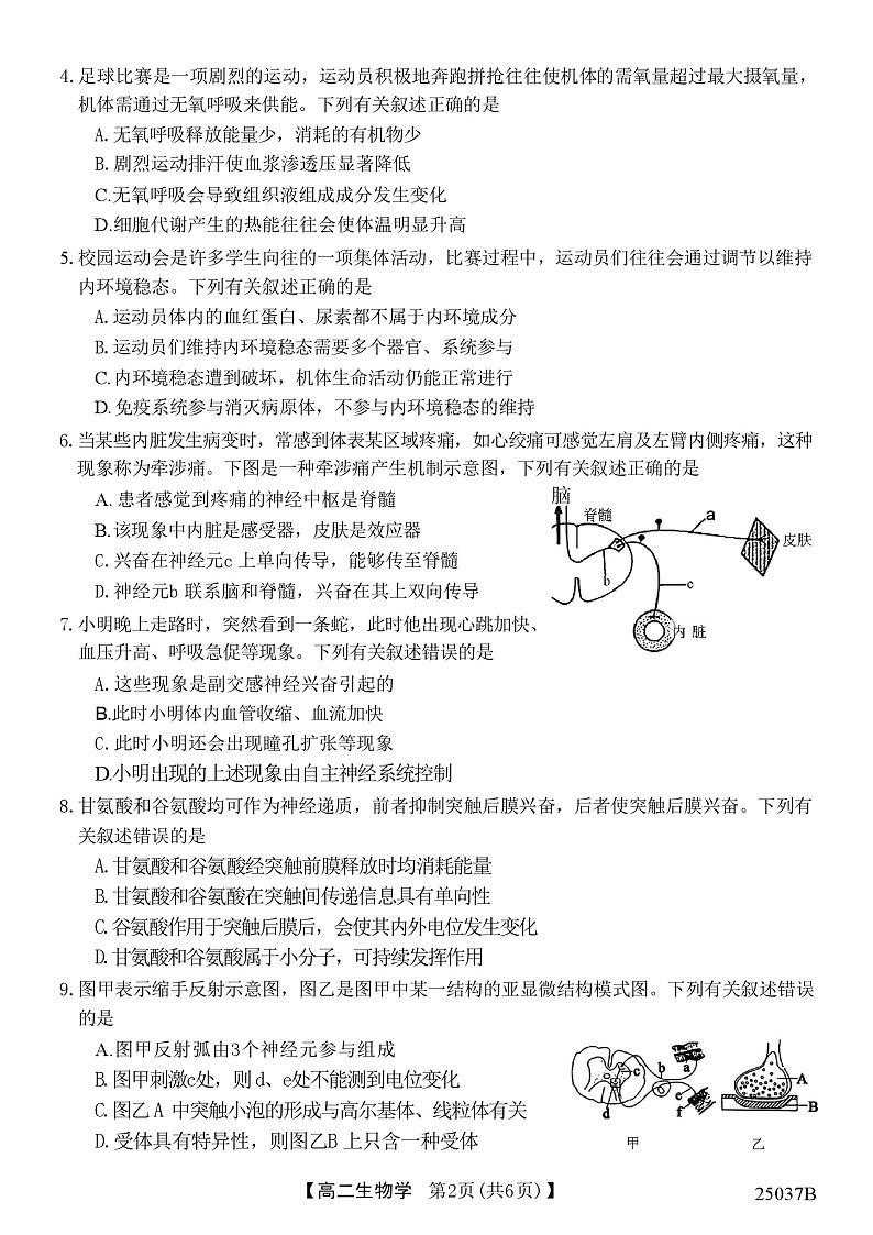 吉林省四校联考2024-2025学年高二上学期9月月考生物试卷(Word版附答案)第2页