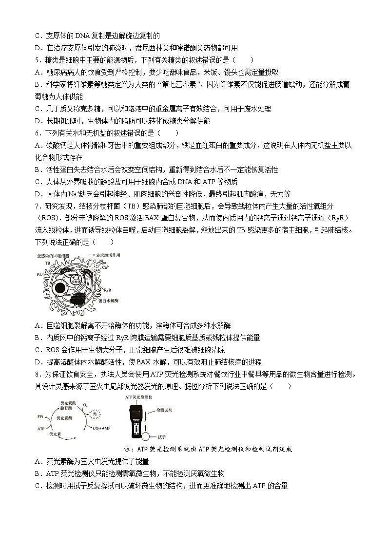 湖南省娄底市涟源市部分学校2024-2025学年高一上学期9月月考生物试题02
