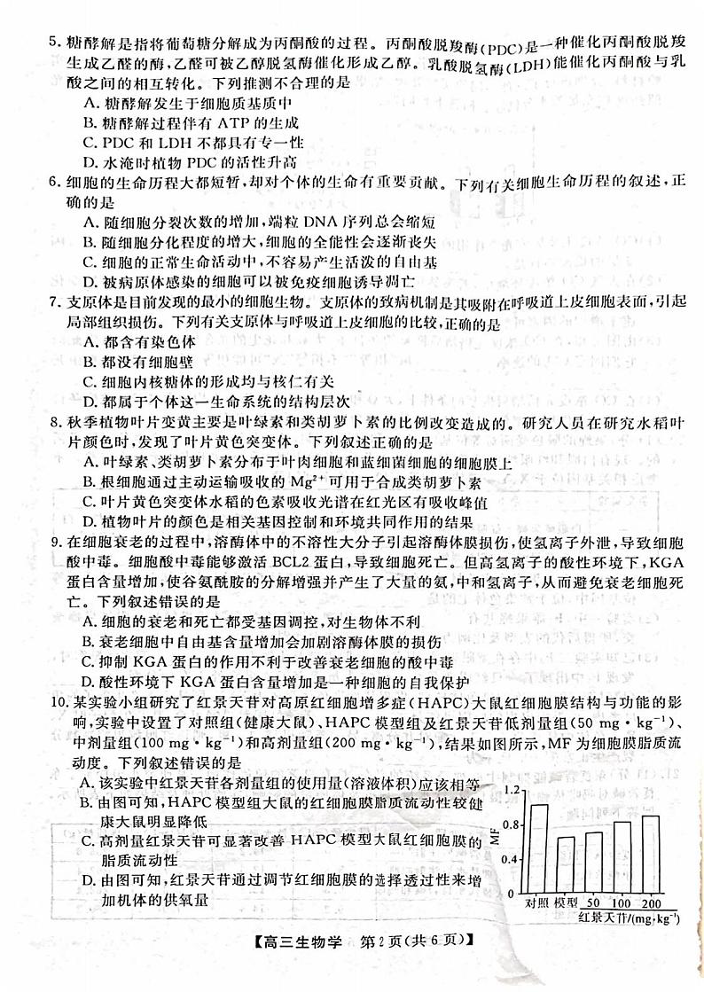 山西省部分学校2024-2025学年高三上学期9月月考生物试题02