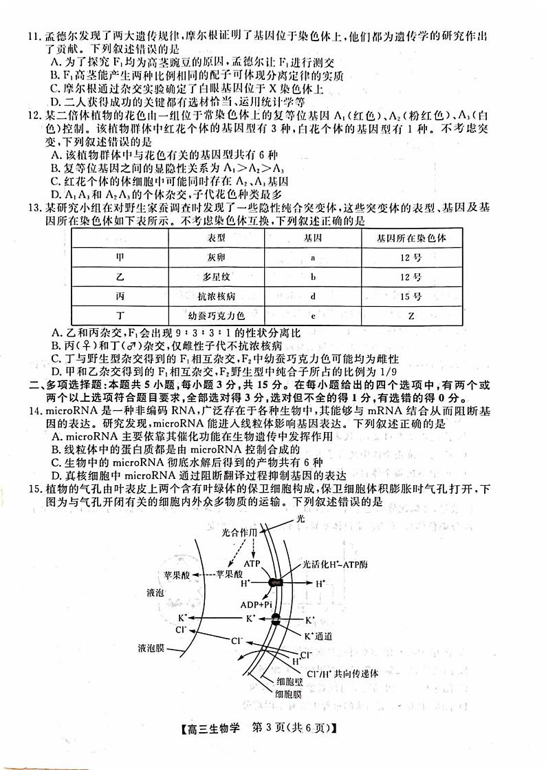 山西省部分学校2024-2025学年高三上学期9月月考生物试题03