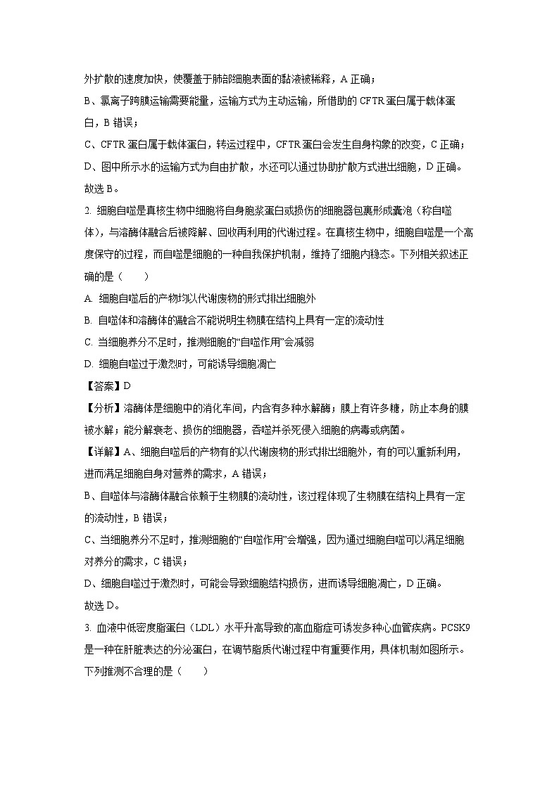 【生物】山东省临沂市百师联盟2024-2025学年高三上学期开学摸底联考试题(解析版)02
