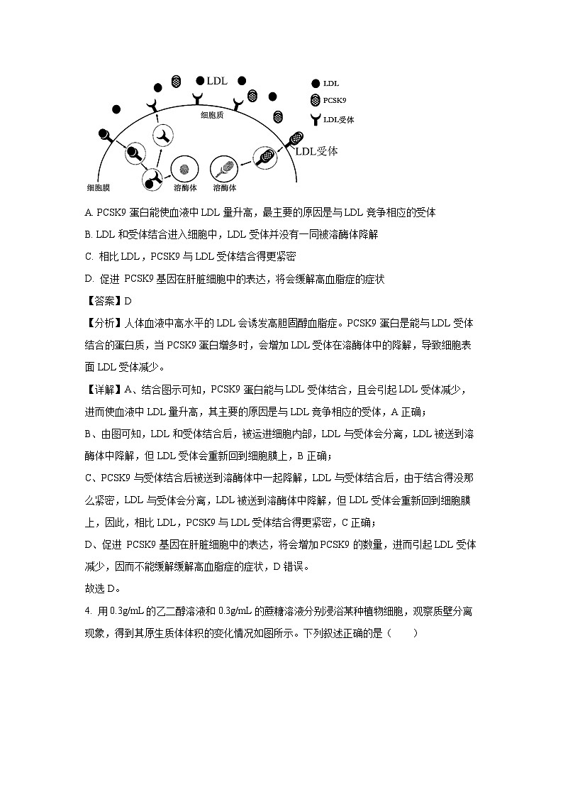 【生物】山东省临沂市百师联盟2024-2025学年高三上学期开学摸底联考试题(解析版)03