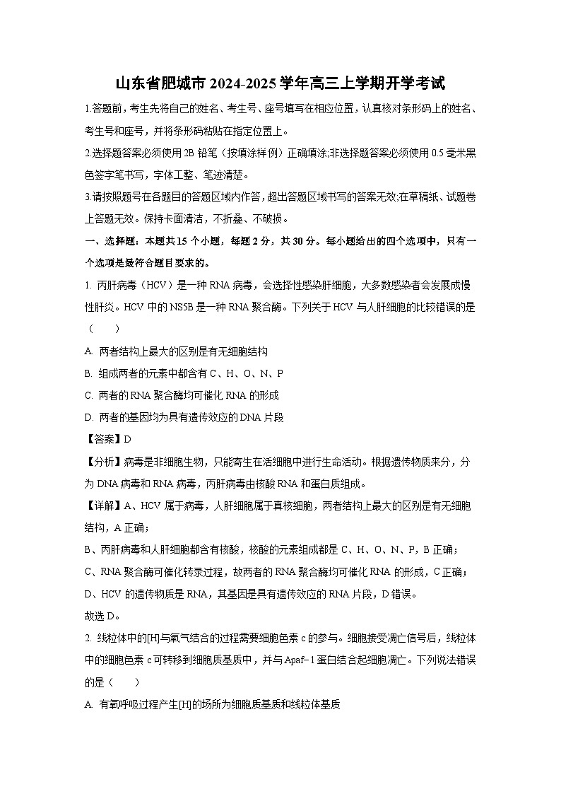 【生物】山东省肥城市2024-2025学年高三上学期开学考试(解析版)01