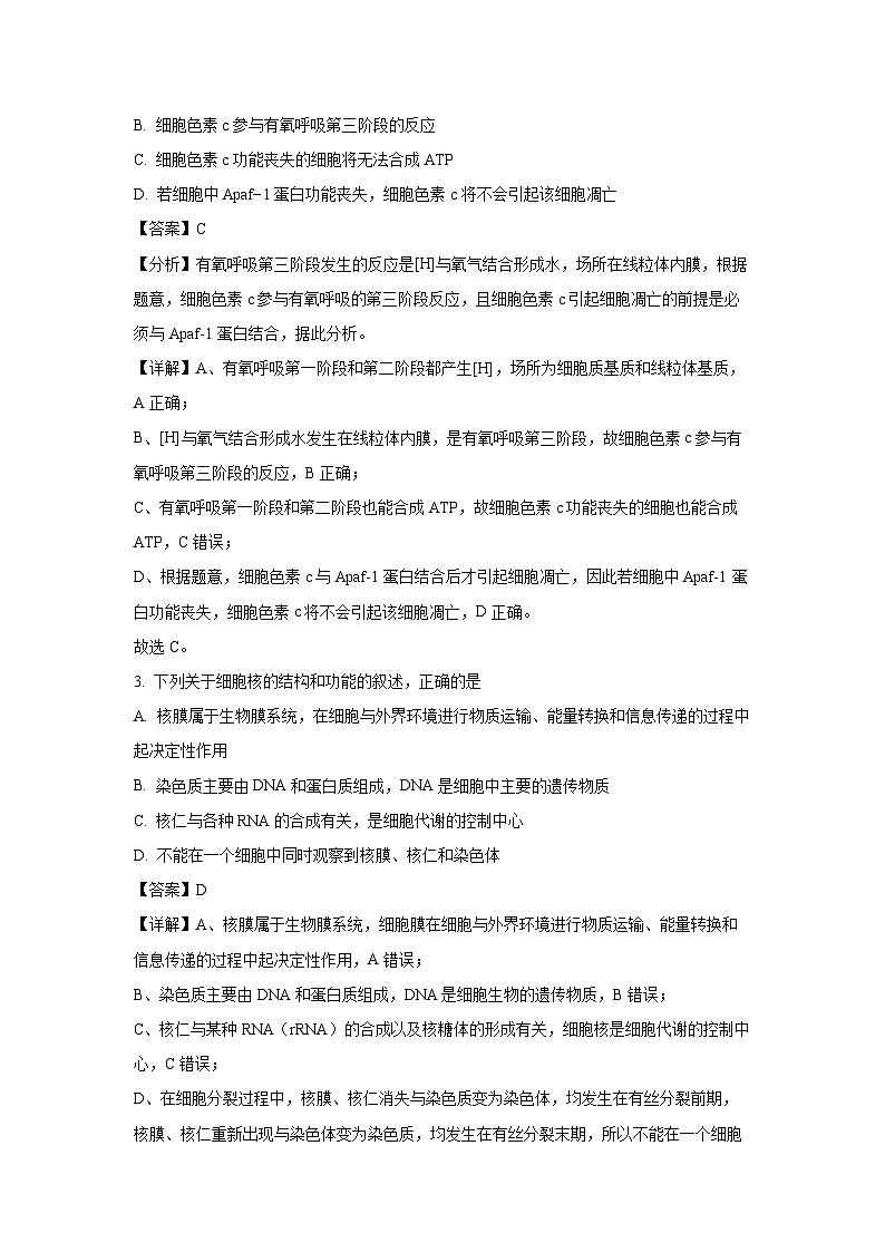 【生物】山东省肥城市2024-2025学年高三上学期开学考试(解析版)02