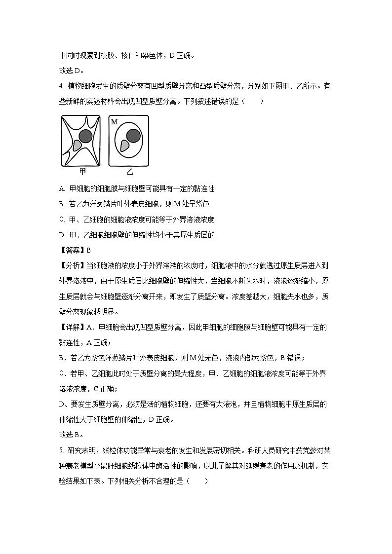 【生物】山东省肥城市2024-2025学年高三上学期开学考试(解析版)03