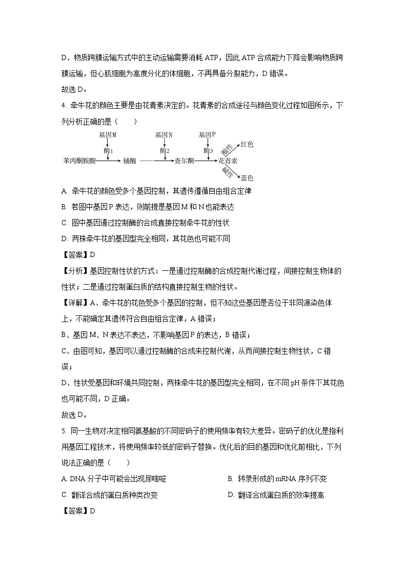 【生物】河北省定州中学2024-2025学年高三上学期开学调研检测(解析版)第3页