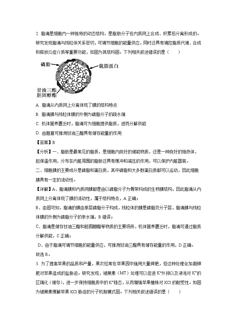 【生物】陕西省教育联盟2024—2025学年高三上学期第一次模拟考试(解析版)第2页
