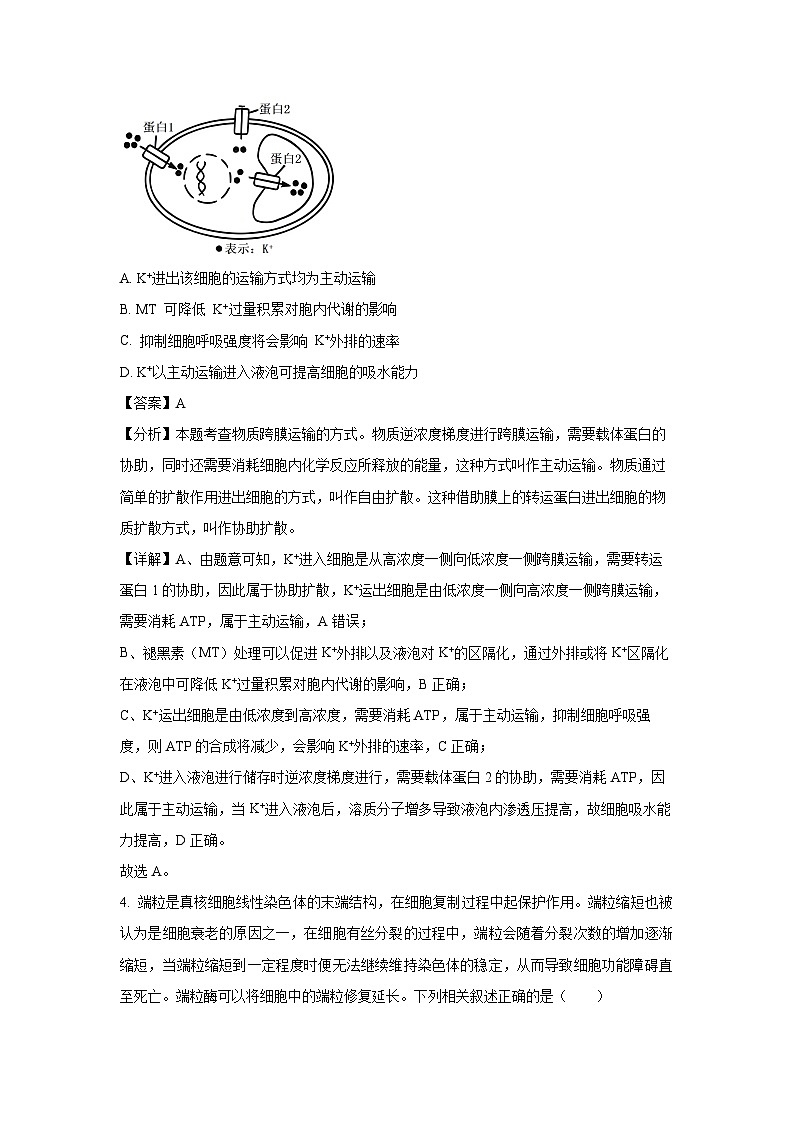 【生物】陕西省教育联盟2024—2025学年高三上学期第一次模拟考试(解析版)第3页