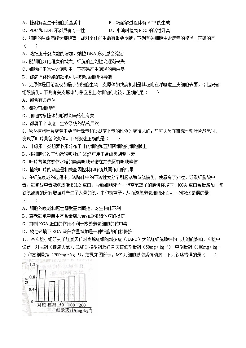 山西省部分学校2024-2025学年高三上学期9月月考生物试题第2页