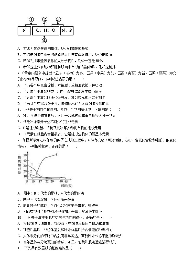 宁夏青铜峡市宁朔中学2024-2025学年高三上学期9月月考生物试题第2页
