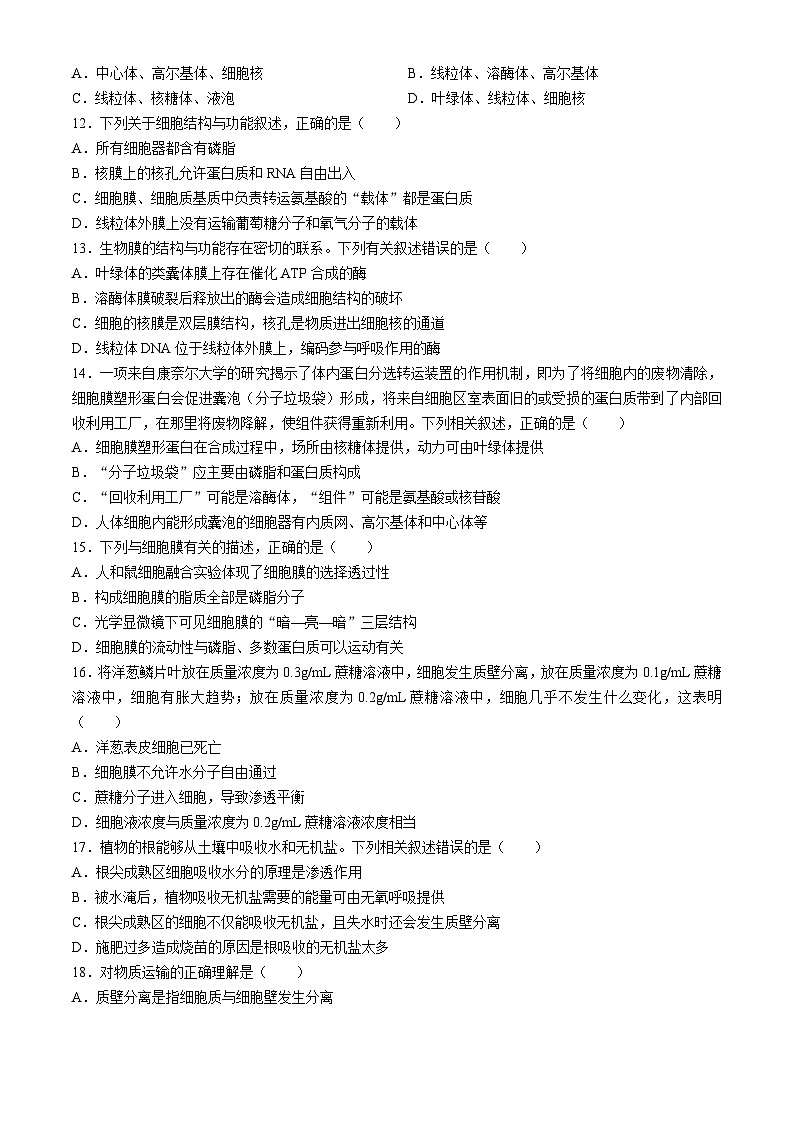 宁夏青铜峡市宁朔中学2024-2025学年高三上学期9月月考生物试题第3页