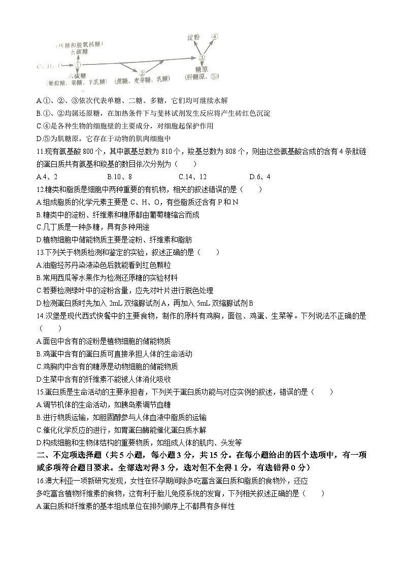 黑龙江省嫩江市高级中学2024-2025学年高一上学期9月月考生物试题 (无答案)第3页