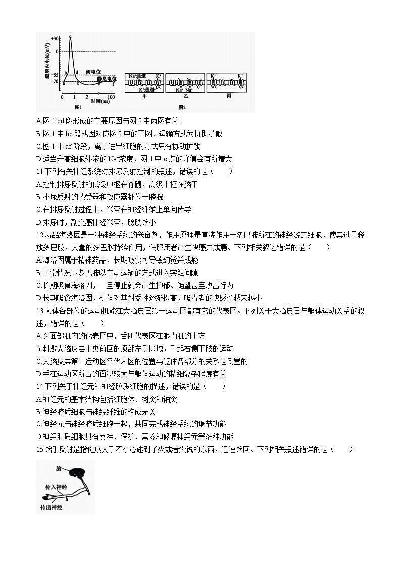陕西省榆林市府谷县府谷中学、府谷一中2024-2025学年高二上学期9月月考生物试题第3页