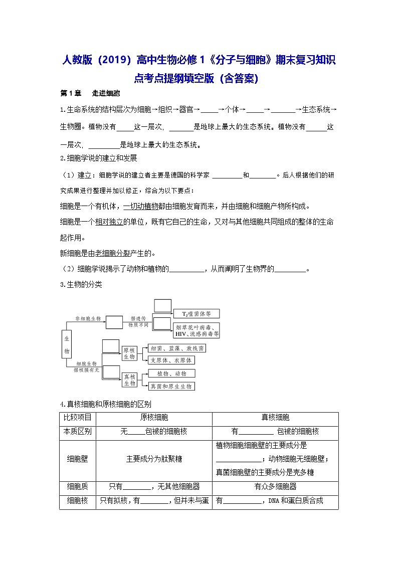人教版(2019)高中生物必修1《分子与细胞》期末复习知识点考点提纲填空版(含答案)第1页