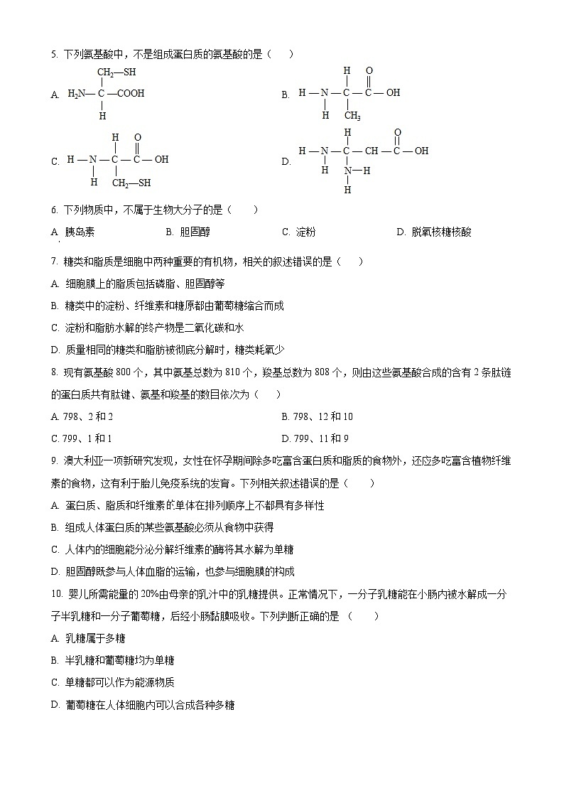 山东省泰安市肥城市第一高级中学2023-2024学年高一10月月考生物试题word版含答案第2页