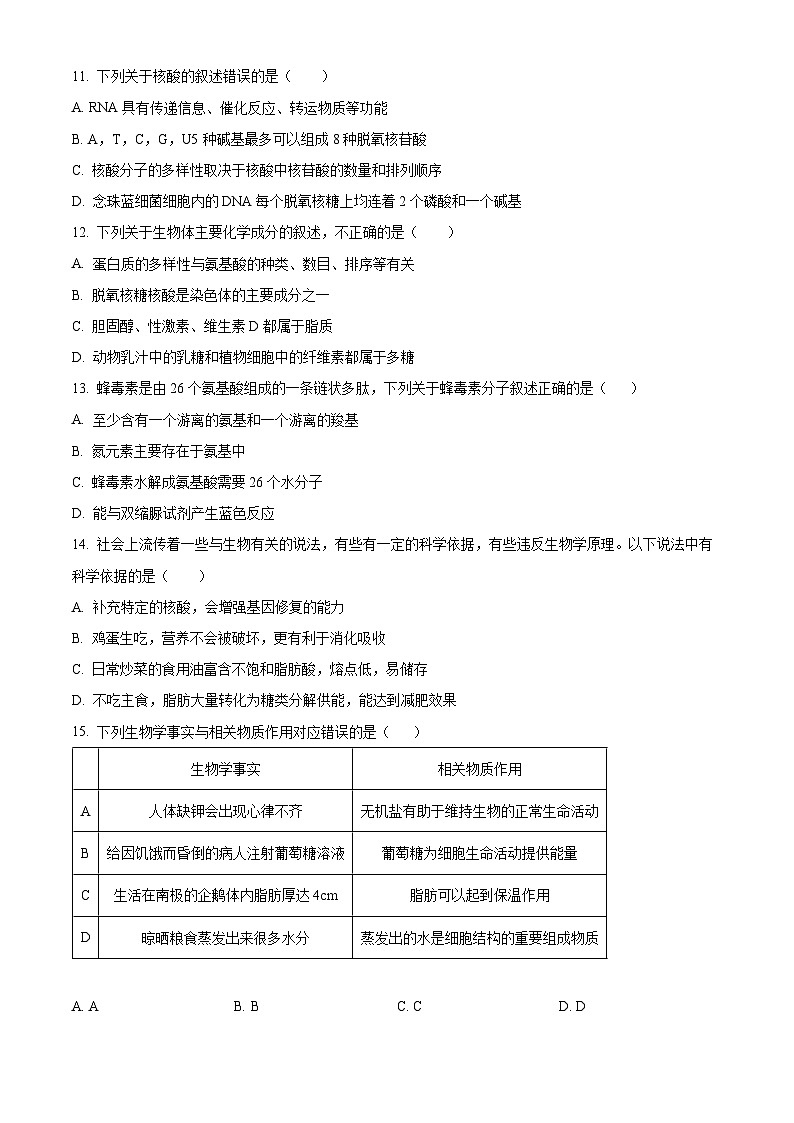 山东省泰安市肥城市第一高级中学2023-2024学年高一10月月考生物试题word版含答案第3页