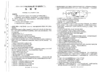 河南省创新发展联盟2024-2025学年高三上学期9月第二次联考生物试题