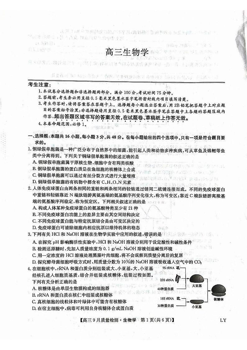 高三生物第1页