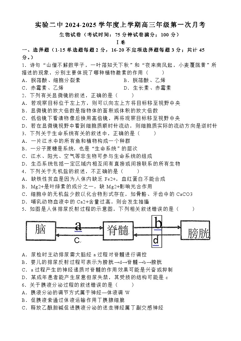内蒙古自治区赤峰市松山区赤峰市第二实验中学2024-2025学年高三上学期9月月考生物试题(无答案)第1页