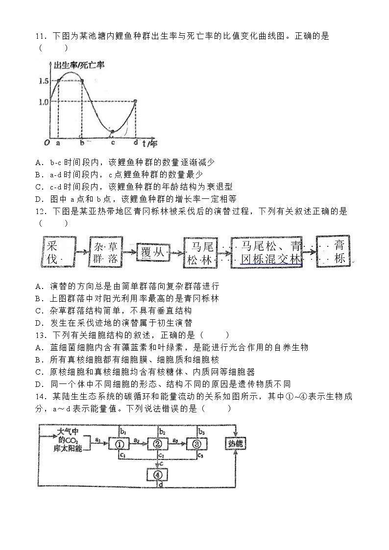 内蒙古自治区赤峰市松山区赤峰市第二实验中学2024-2025学年高三上学期9月月考生物试题(无答案)第3页