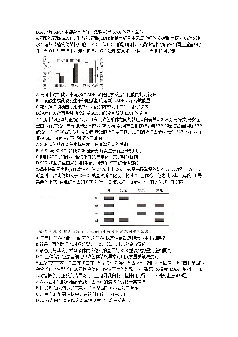 湖南省部分学校2024-2025学年高三上学期9月月考生物试题第2页