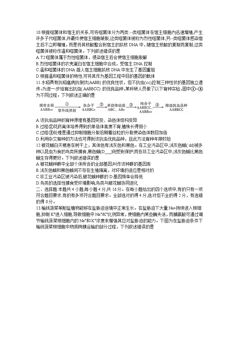 湖南省部分学校2024-2025学年高三上学期9月月考生物试题第3页