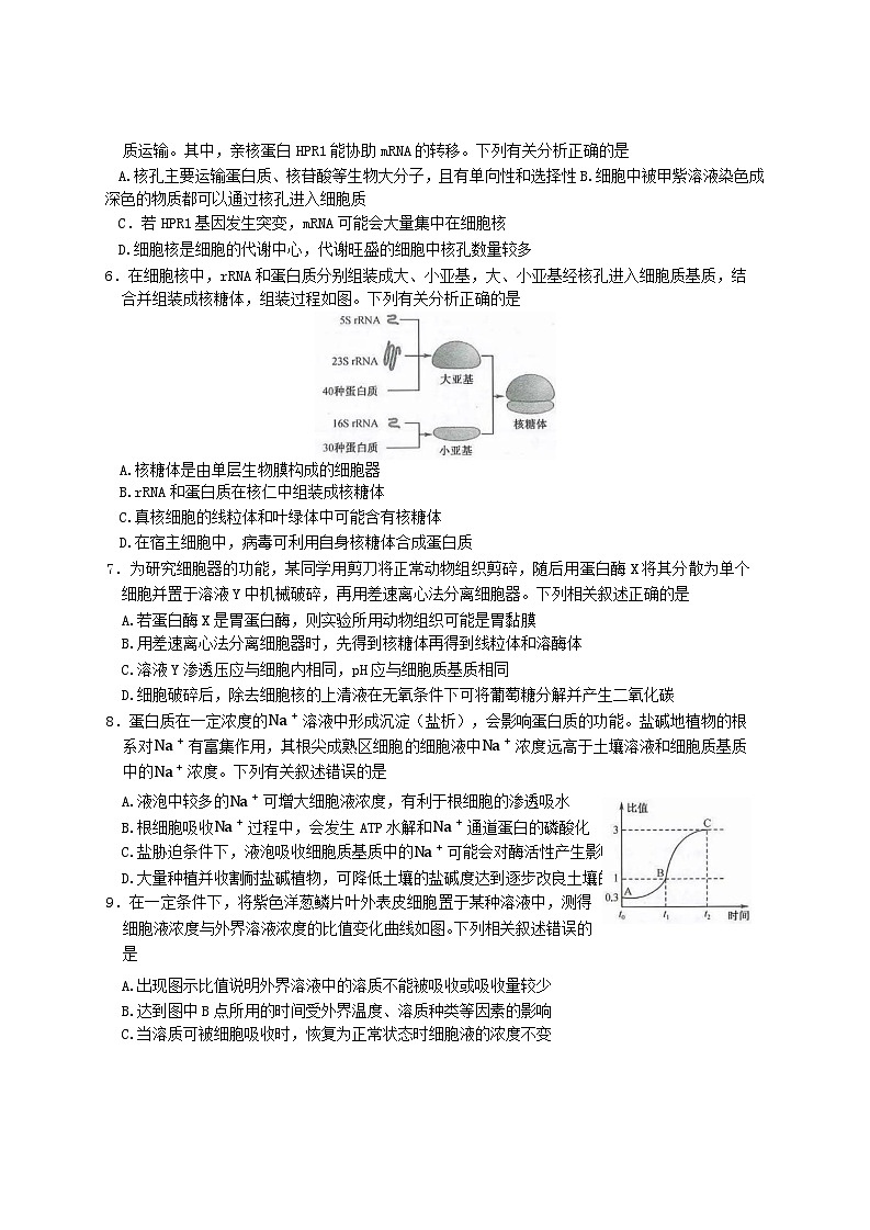 河南省部分学校2024-2025学年高三上学期9月联考生物试题02