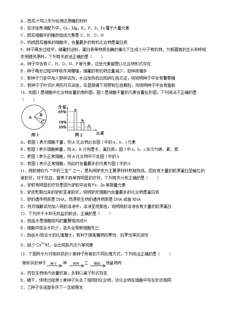 湖北省新高考联考协作体2024-2025学年高一上学期9月月考生物试题03