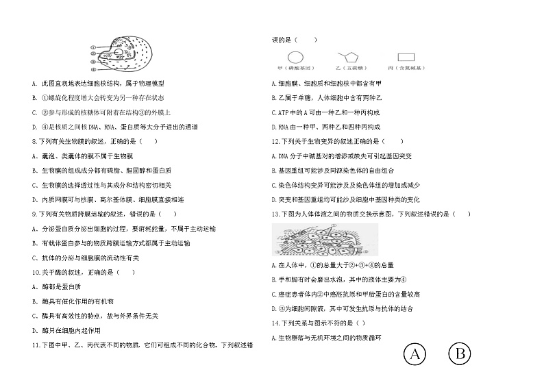 墨玉县2024-2025学年第一学期高三生物第一次阶段测试试卷第2页
