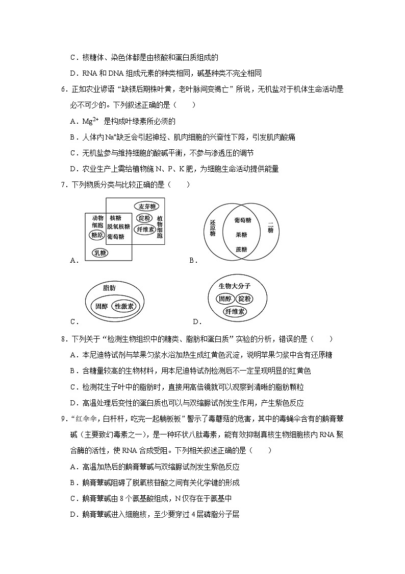 浙江省嘉兴市平湖市当湖高级中学2024-2025学年高一上学期9月月考生物试题第2页