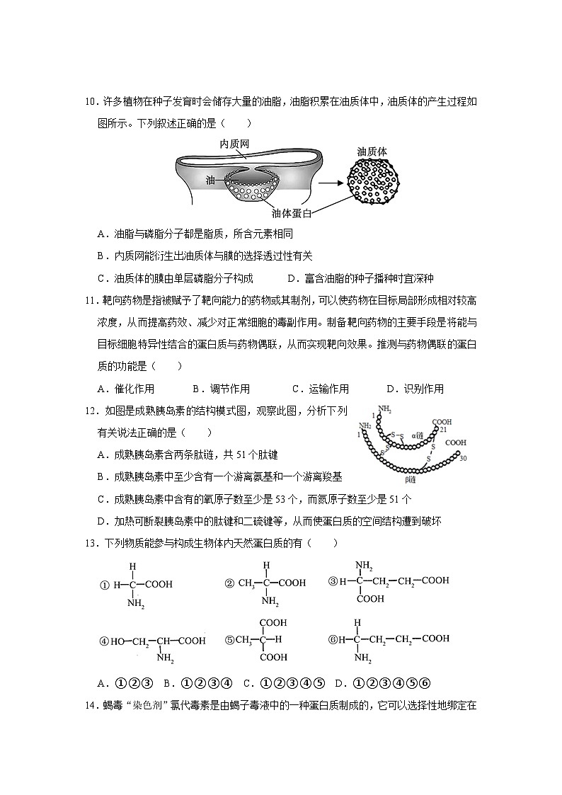 浙江省嘉兴市平湖市当湖高级中学2024-2025学年高一上学期9月月考生物试题第3页