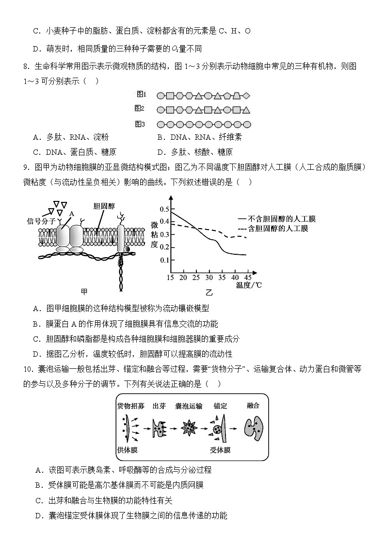 福建省南平市高级中学2024-2025学年高三上学期9月月考生物试题第3页