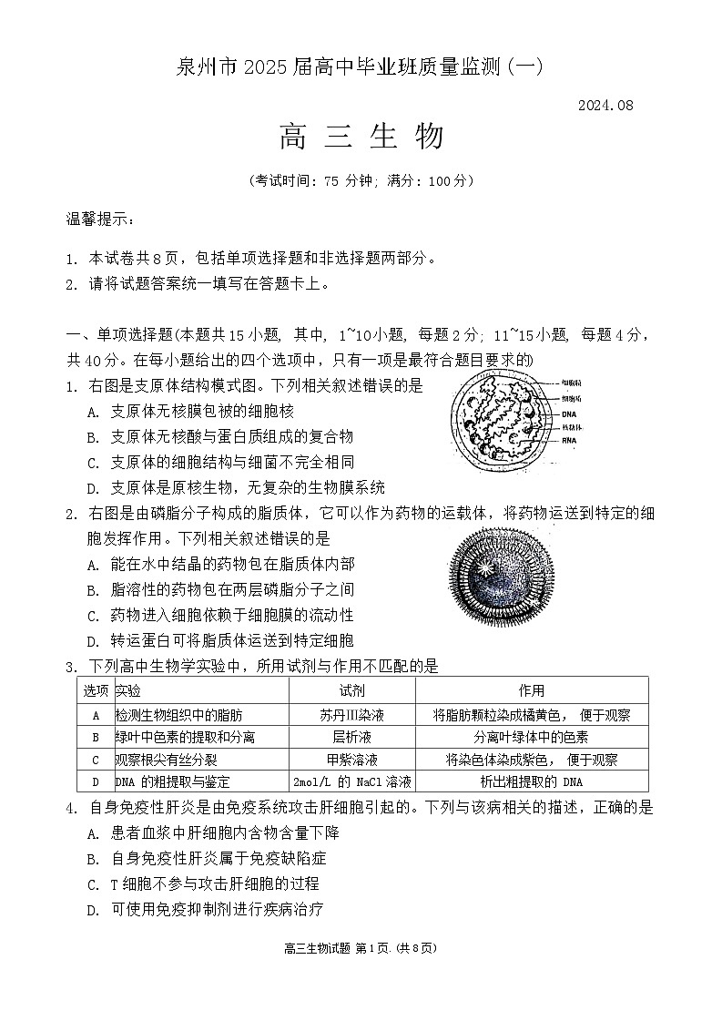 福建省泉州市20242025学年高三上学期开学考试生物试题第1页