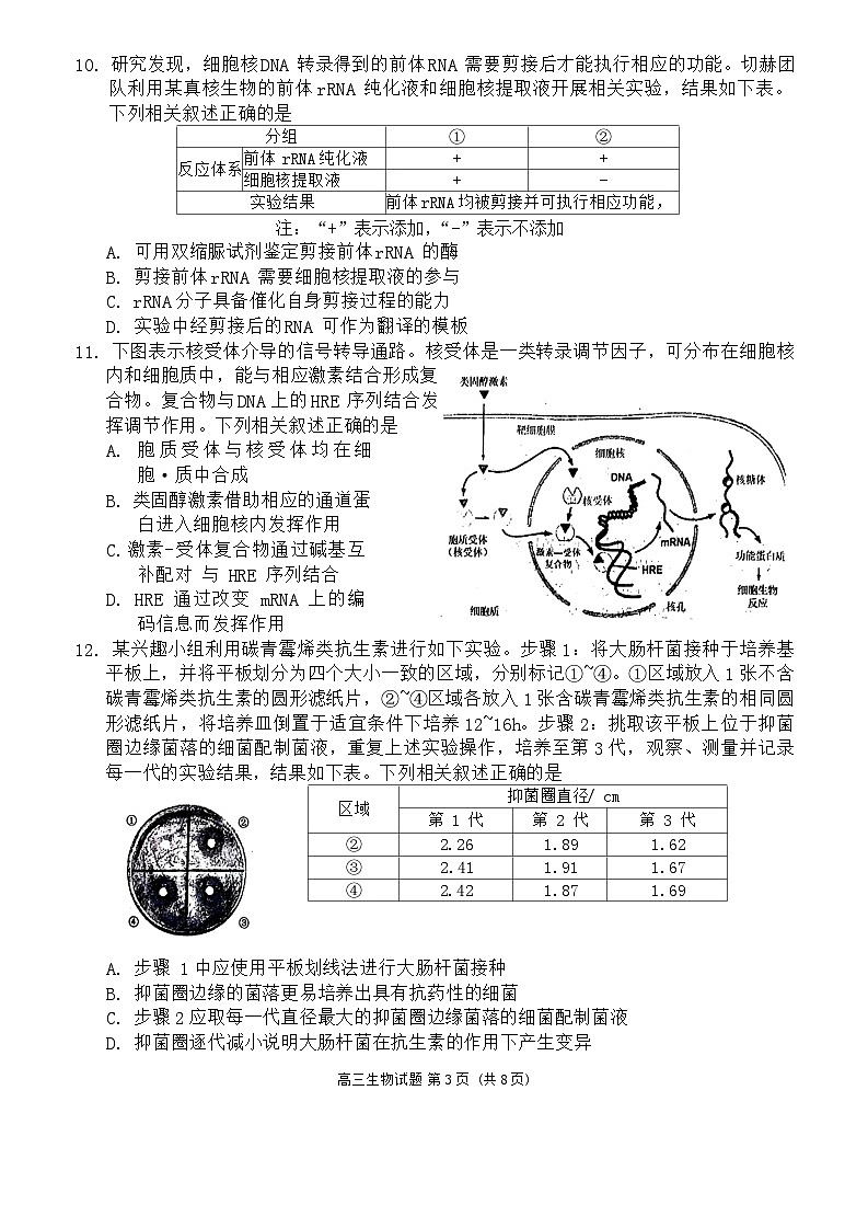 福建省泉州市20242025学年高三上学期开学考试生物试题第3页