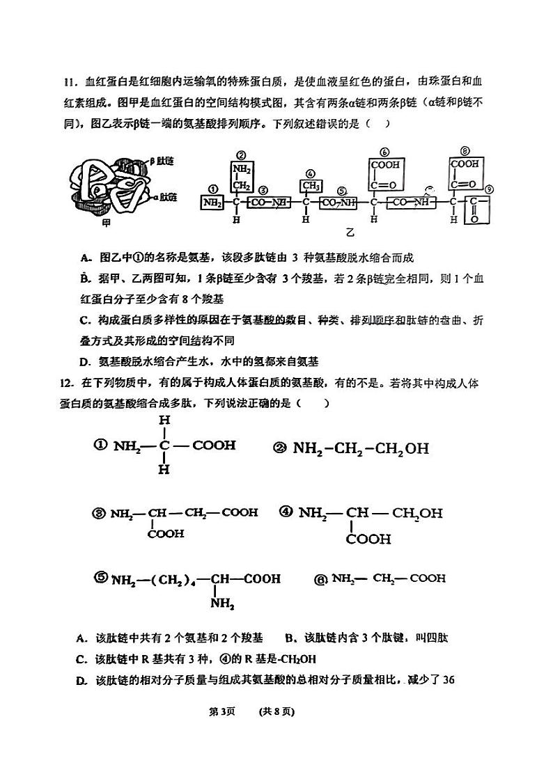吉林省吉林市第二高级中学2024-2025学年高一上学期第一次月考生物试题第3页