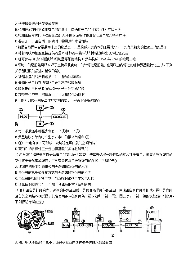 吉林省吉林市第二高级中学2024-2025学年高一上学期第一次月考生物试题(无答案)第2页