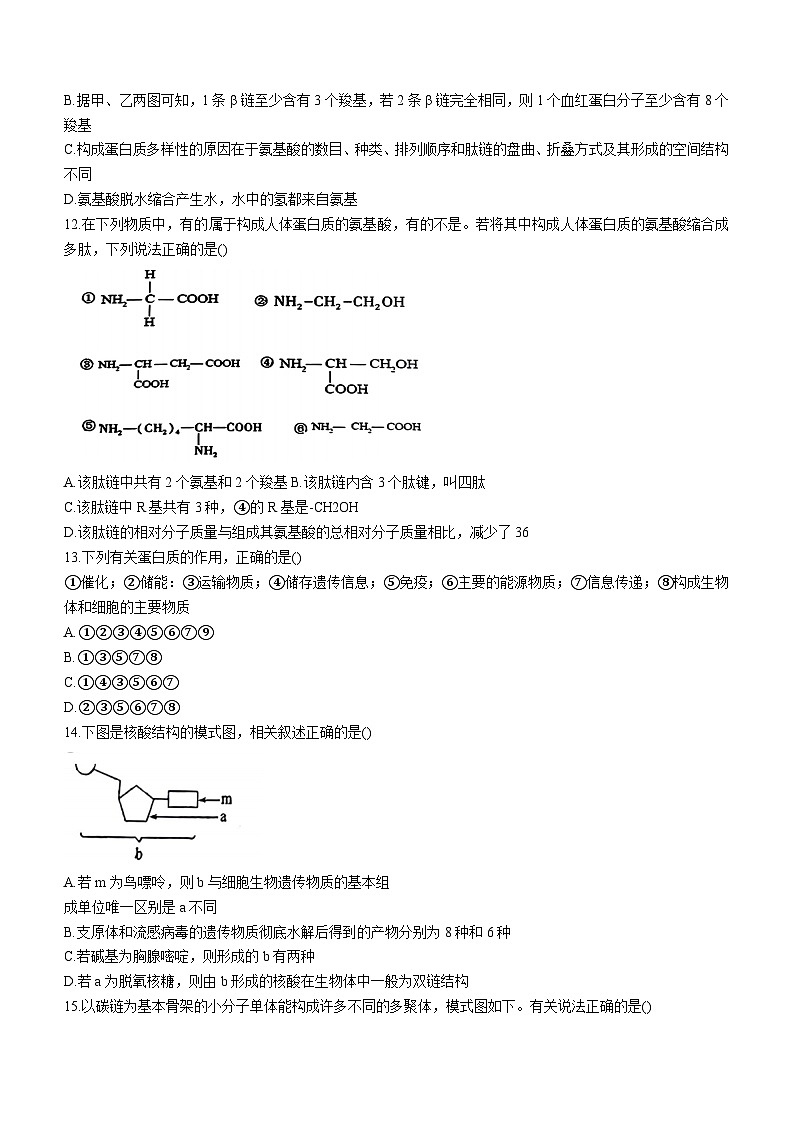 吉林省吉林市第二高级中学2024-2025学年高一上学期第一次月考生物试题(无答案)第3页