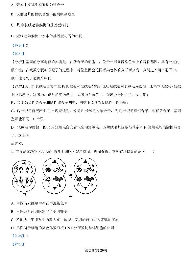 精品解析:河北省保定市部分高中2024-2025学年高二上学期开学考试生物试题(解析版)_create第2页