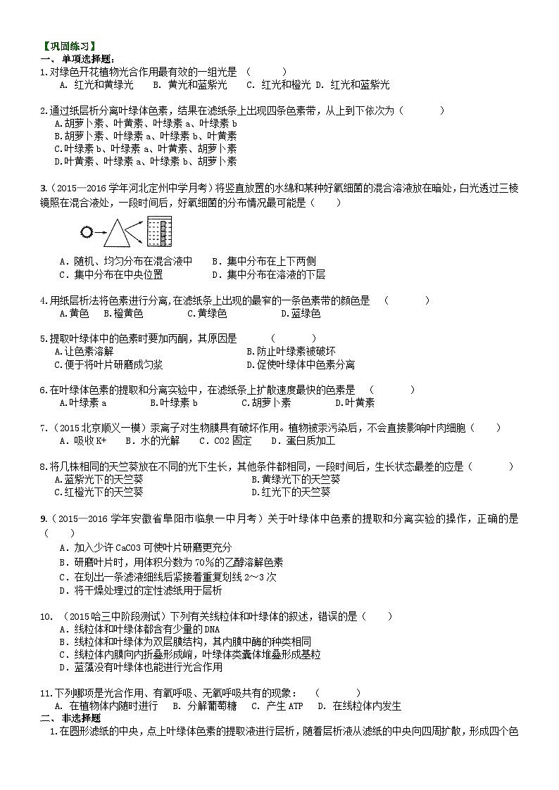 人教版高中生物必修一第十講光合作用（一）捕獲光能的色素和結(jié)構(gòu)同步練習(xí)第1頁