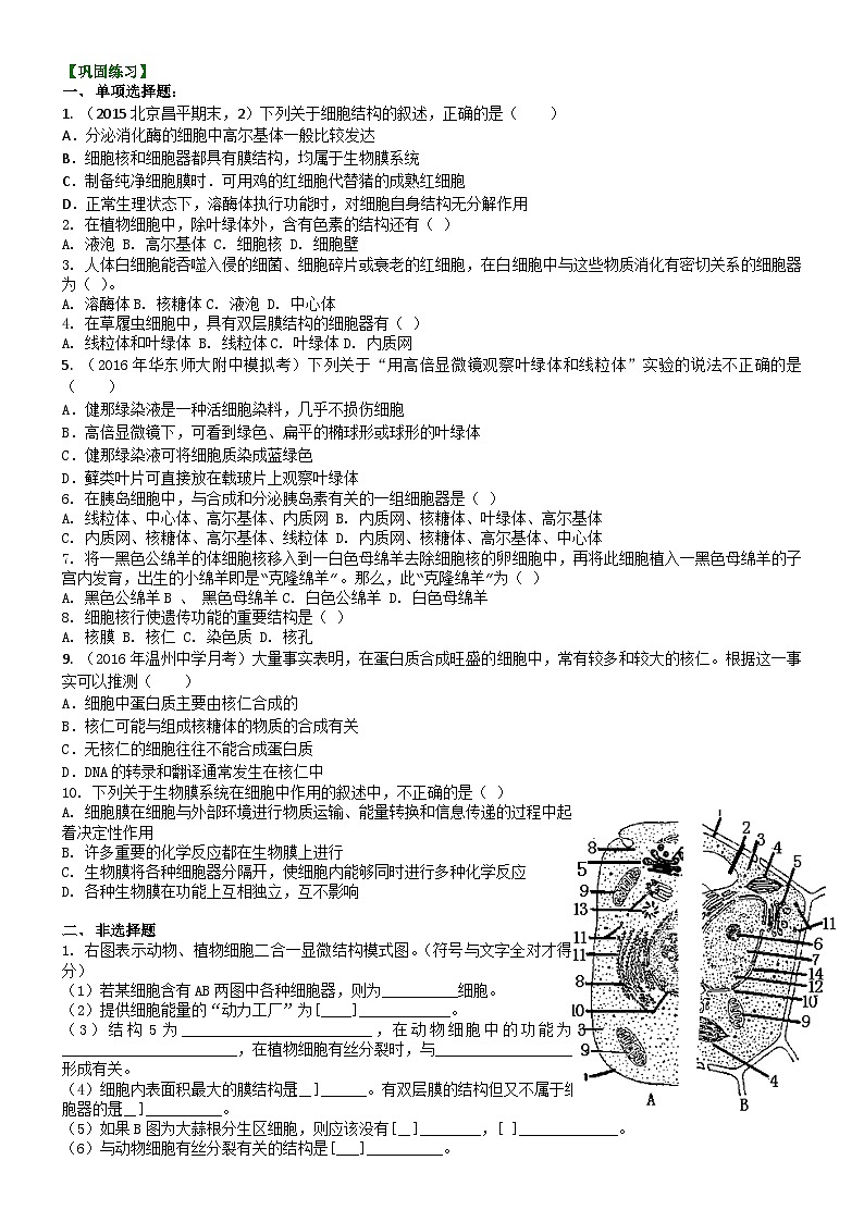 人教版高中生物必修一第五讲细胞的结构:细胞质和细胞核同步练习第1页