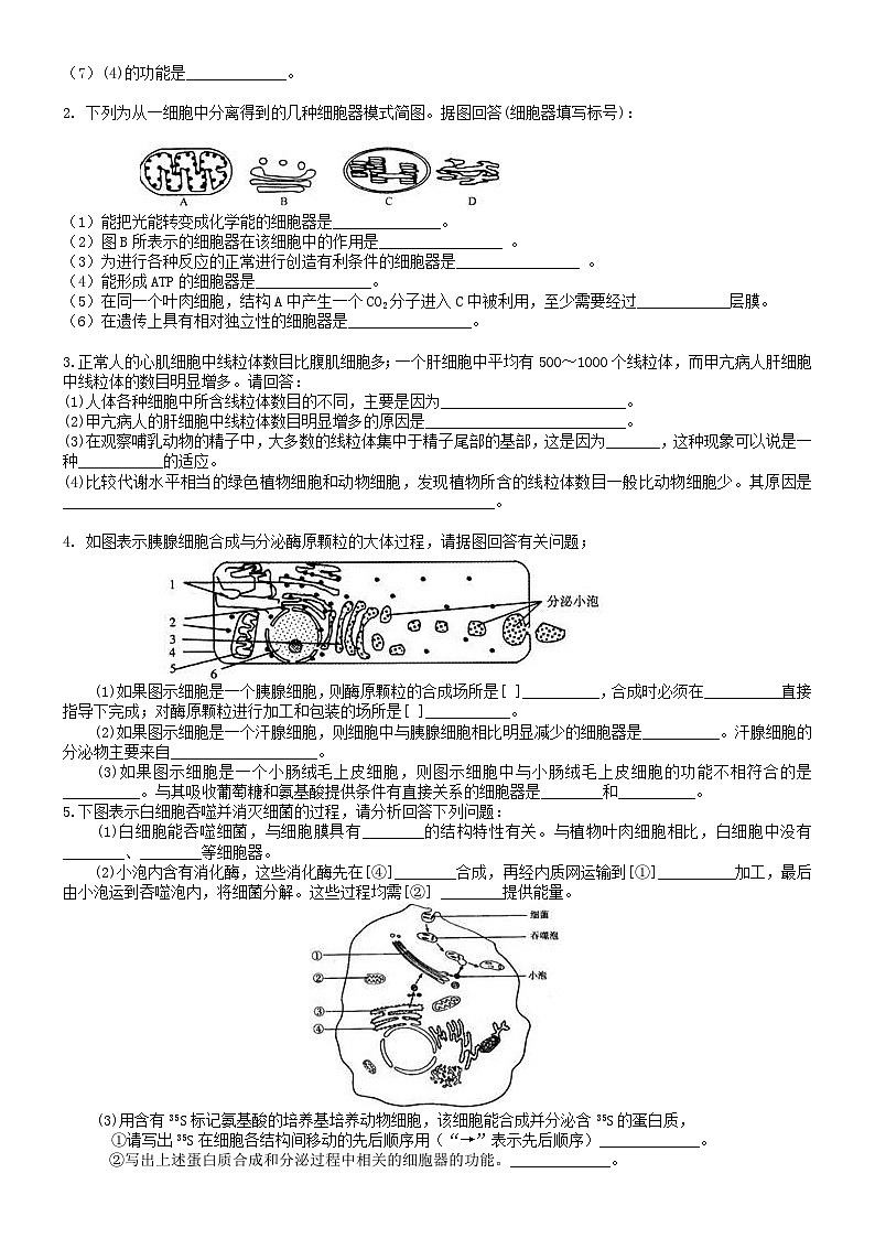 人教版高中生物必修一第五讲细胞的结构:细胞质和细胞核同步练习第2页