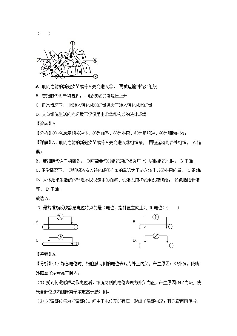 【生物】江苏省南京市六校联合体2023-2024学年高二上学期期初开学测试试卷(解析版)第3页