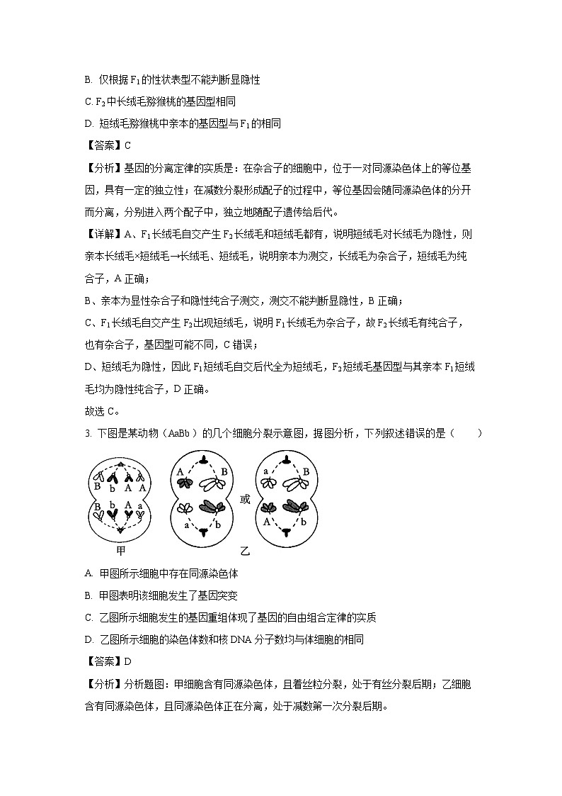 【生物】河北省保定市部分高中2024-2025学年高二上学期开学考试试题(解析版)第2页