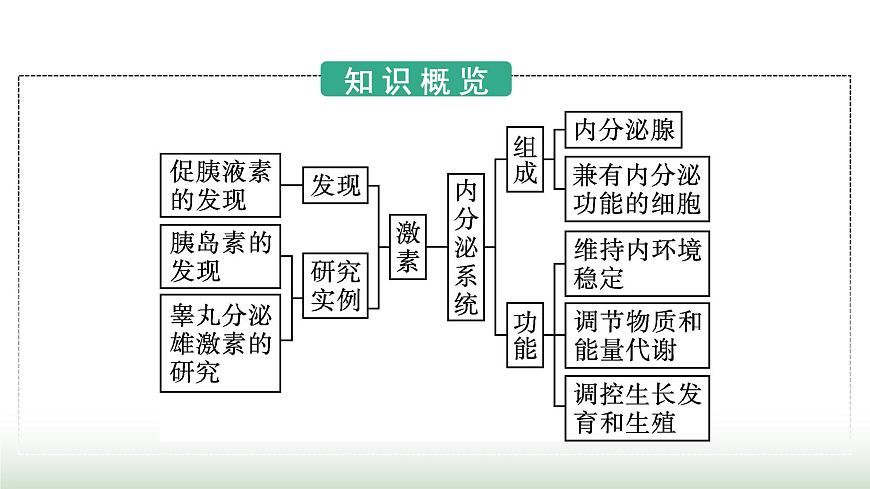 人教版高中生物選擇性必修1第3章體液調(diào)節(jié)第1節(jié)激素與內(nèi)分泌系統(tǒng)課件第3頁(yè)