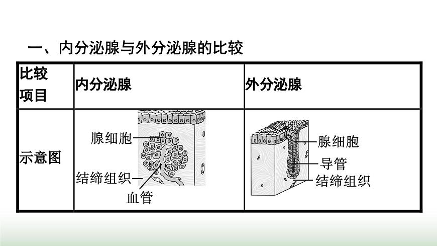 人教版高中生物選擇性必修1第3章體液調(diào)節(jié)第1節(jié)激素與內(nèi)分泌系統(tǒng)課件第4頁(yè)