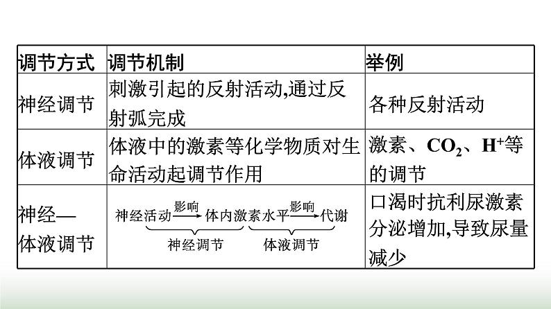 人教版高中生物选择性必修1微专题二动物生命活动调节模型的建构与分析课件03