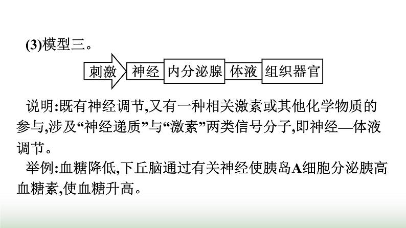 人教版高中生物选择性必修1微专题二动物生命活动调节模型的建构与分析课件06