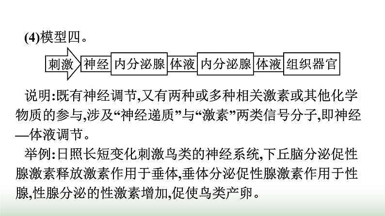 人教版高中生物选择性必修1微专题二动物生命活动调节模型的建构与分析课件07
